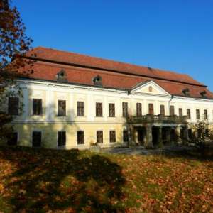 Obrázek