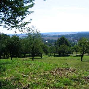 Obrázek