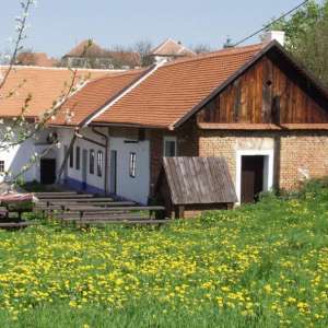 Obrázek