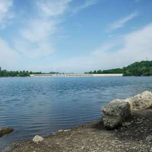 Obrázek