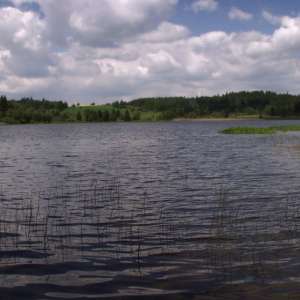 Obrázek