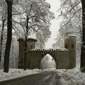 Obrázek