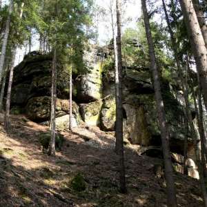 Obrázek