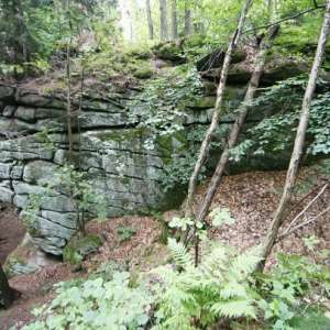 Obrázek