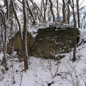 Obrázek