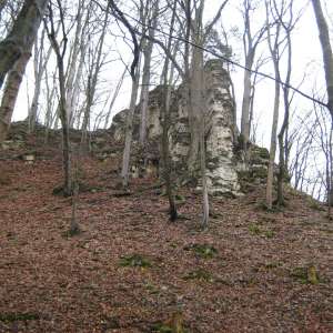 Obrázek