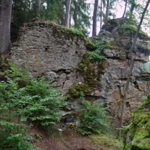 Obrázek