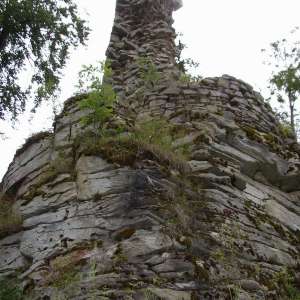 Obrázek