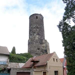 Obrázek