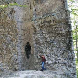 Obrázek