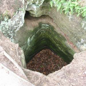 Obrázek