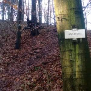 Obrázek