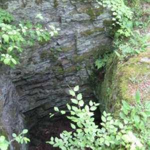 Obrázek