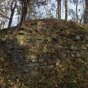 Obrázek