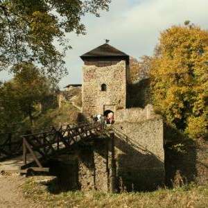 Obrázek