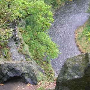 Obrázek