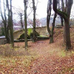Obrázek