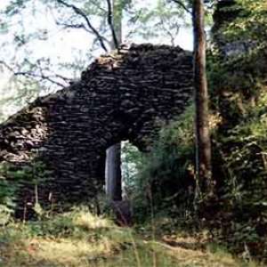 Obrázek