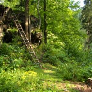 Obrázek