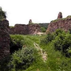 Obrázek