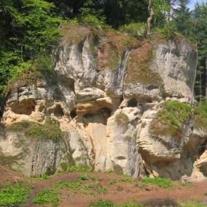Obrázek