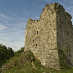 Obrázek