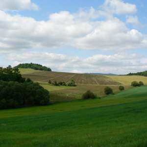 Obrázek
