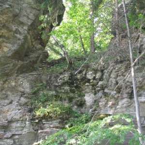 Obrázek