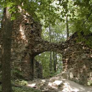 Obrázek