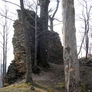 Obrázek