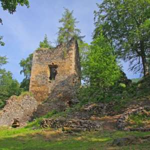 Obrázek