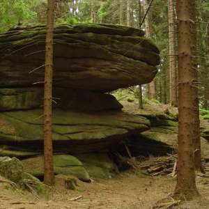 Obrázek