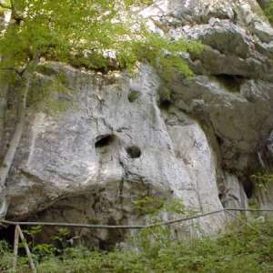 Obrázek