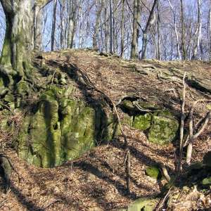 Obrázek