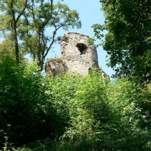 Obrázek