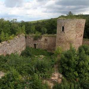 Obrázek