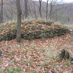Obrázek