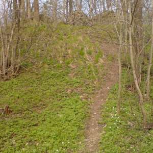 Obrázek