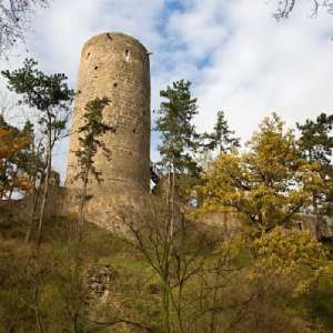 Obrázek