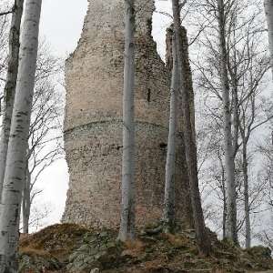 Obrázek