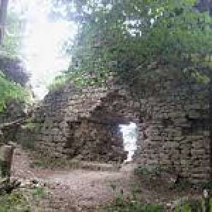 Obrázek