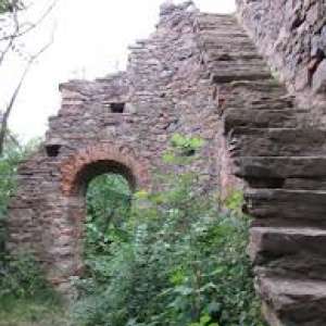 Obrázek