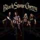 Black Stone Cherry (usa)