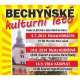 Bechyňské kulturní léto: Katapult