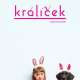 Králíček