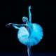 Labutí jezero (Swan Lake)