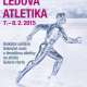 Ledová atletika - 4. ročník festivalu Ledových soch